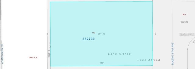231 Blazing Star Ave, Lake Alfred, FL 33850
