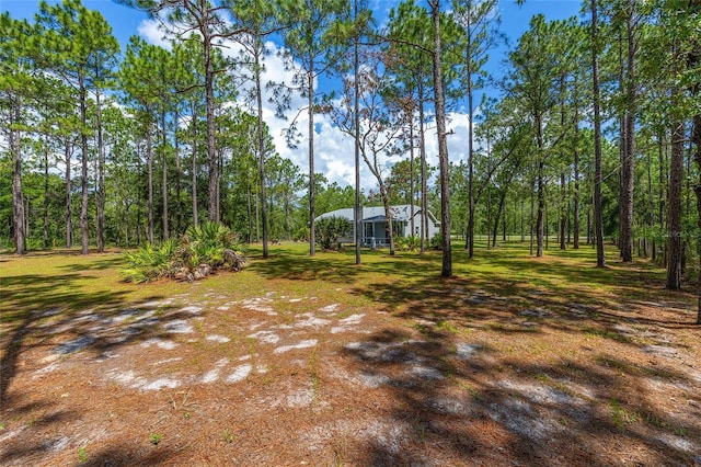 12320 SW 62nd Pl, Ocala, FL 34481 - view of yard featuring a view of trees