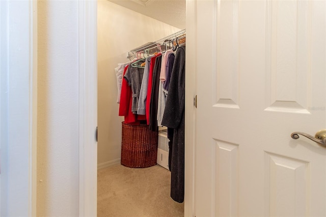 1768 SW 156th Ln, Ocala, FL 34473 - spacious closet with carpet flooring