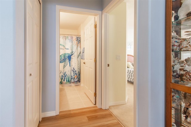 1768 SW 156th Ln, Ocala, FL 34473 - hall featuring baseboards and light wood-style floors
