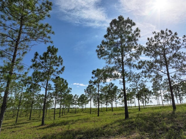 4501 Detour Rd, Haines City, FL 33844 - photo 4