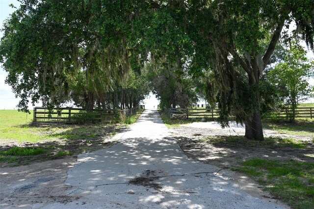 4501 Detour Rd, Haines City, FL 33844 - photo 46