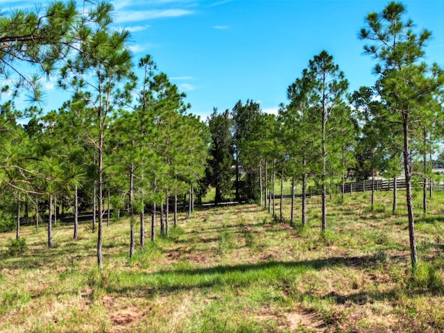 4501 Detour Rd, Haines City, FL 33844 - photo 51