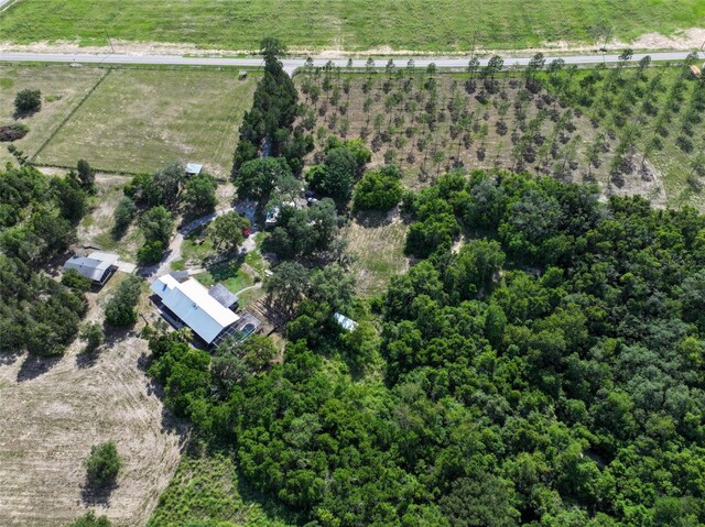 4501 Detour Rd, Haines City, FL 33844 - photo 52