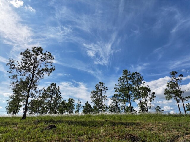 4501 Detour Rd, Haines City, FL 33844 - photo 53