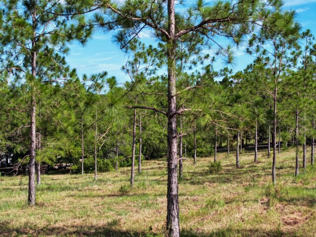 4501 Detour Rd, Haines City, FL 33844 - photo 55