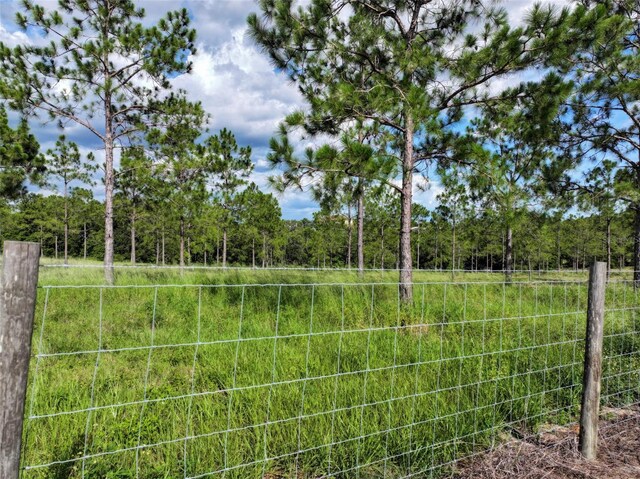 4501 Detour Rd, Haines City, FL 33844 - photo 56