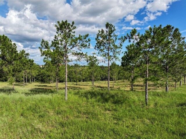 4501 Detour Rd, Haines City, FL 33844 - photo 58