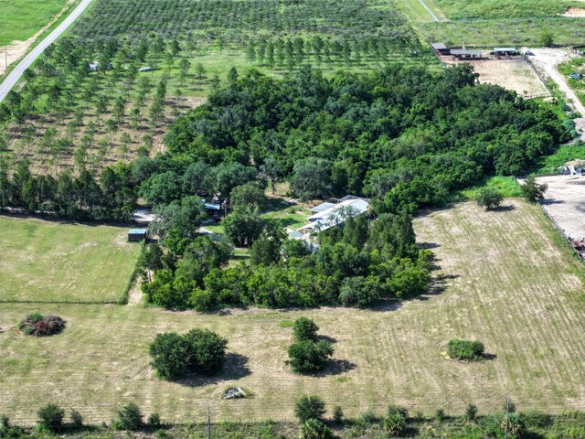 4501 Detour Rd, Haines City, FL 33844 - photo 60