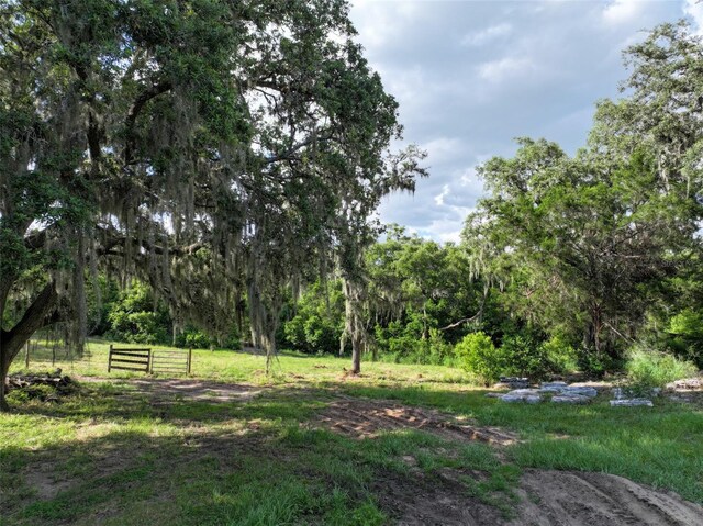 4501 Detour Rd, Haines City, FL 33844 - photo 61