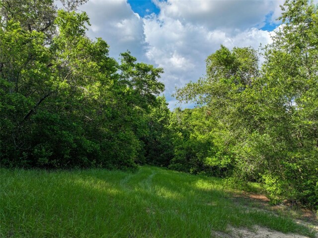 4501 Detour Rd, Haines City, FL 33844 - photo 62