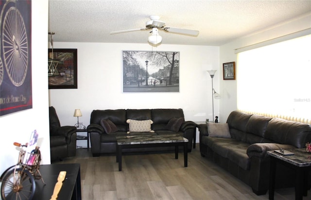 8650 SW 108th Pl, Ocala, FL 34481 - living area with wood finished floors, a textured ceiling, and ceiling fan