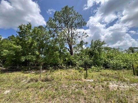 21031 Granville Rd, North Fort Myers, FL 33917