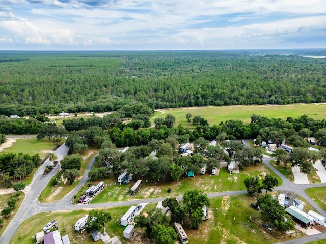 15991 NE 243rd Place Rd Unit 32, Fort Mc Coy, FL 32134 - photo 22
