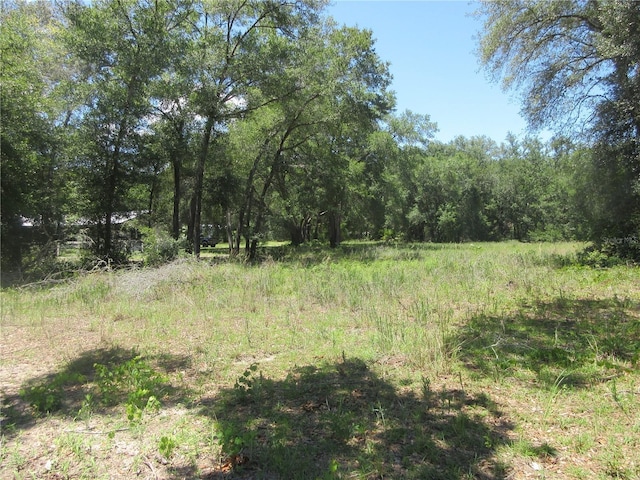 SE 161st Ct, Ocklawaha, FL 32179