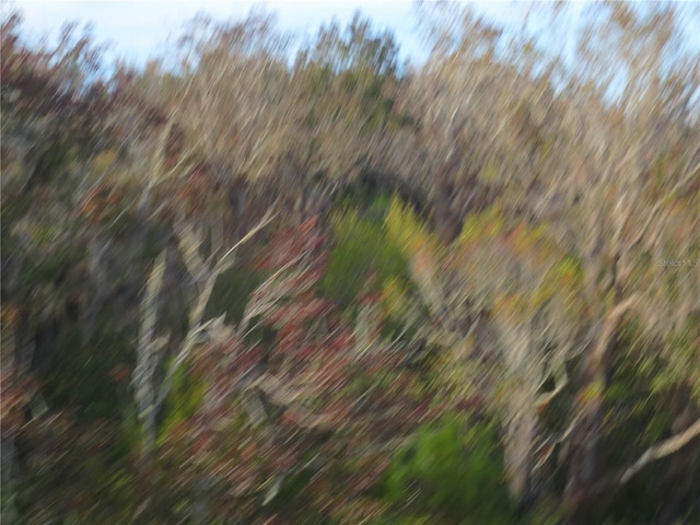 SE 161st Ct, Ocklawaha, FL 32179