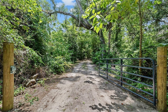 19130 NW 60th Ave, Reddick, FL 32686 - view of road featuring a gate and a gated entry