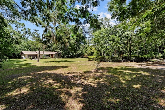 19130 NW 60th Ave, Reddick, FL 32686 - view of grassy yard