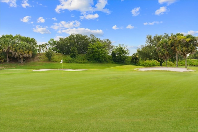 15549 SW 11th Terrace Rd, Ocala, FL 34473 - surrounding community featuring a putting area, golf course view, view of scattered trees, and a yard