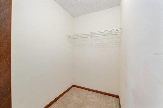 8247 SW 105th Pl, Ocala, FL 34481 - walk in closet featuring carpet floors