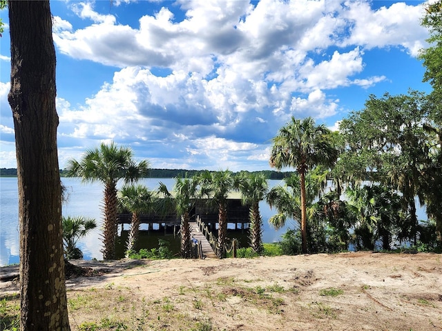 17051 NE 243rd Place Rd, Fort Mc Coy, FL 32134 - photo 38