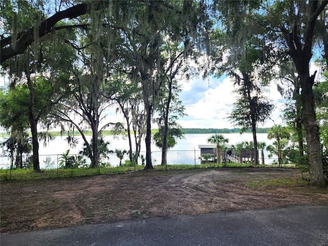 17051 NE 243rd Place Rd, Fort Mc Coy, FL 32134 - photo 37