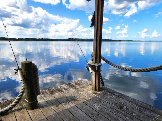 17051 NE 243rd Place Rd, Fort Mc Coy, FL 32134 - photo 42