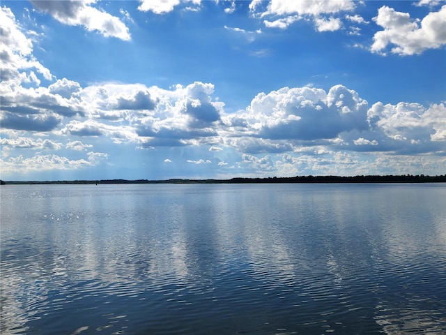 17051 NE 243rd Place Rd, Fort Mc Coy, FL 32134 - photo 43