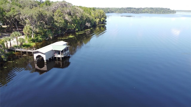 17051 NE 243rd Place Rd, Fort Mc Coy, FL 32134 - photo 1