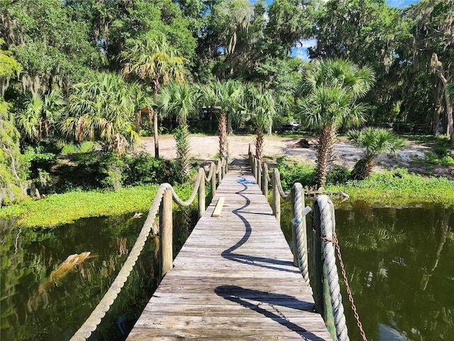 17051 NE 243rd Place Rd, Fort Mc Coy, FL 32134 - photo 47