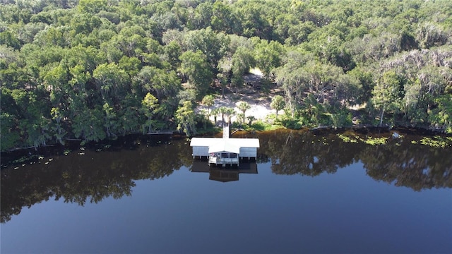 17051 NE 243rd Place Rd, Fort Mc Coy, FL 32134 - photo 48
