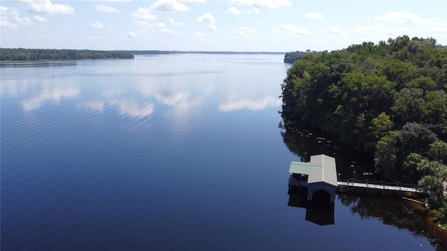 17051 NE 243rd Place Rd, Fort Mc Coy, FL 32134 - photo 49