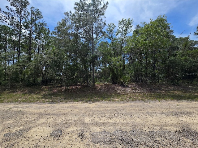6468 N Baylor Ter, Dunnellon, FL 34433 - photo 3