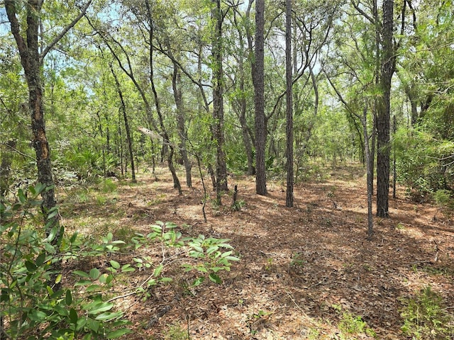 6468 N Baylor Ter, Dunnellon, FL 34433 - photo 4