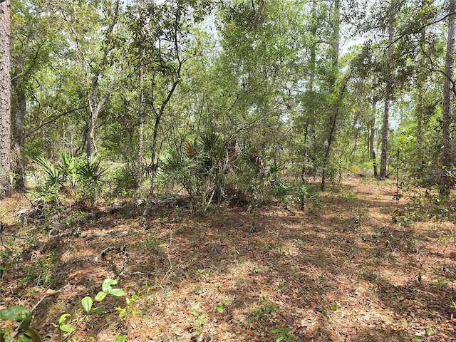 6468 N Baylor Ter, Dunnellon, FL 34433 - photo 6