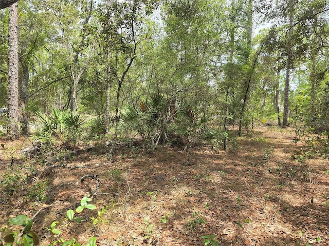 6468 N Baylor Ter, Dunnellon, FL 34433 - photo 7