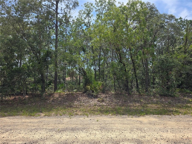6468 N Baylor Ter, Dunnellon, FL 34433 - photo 9
