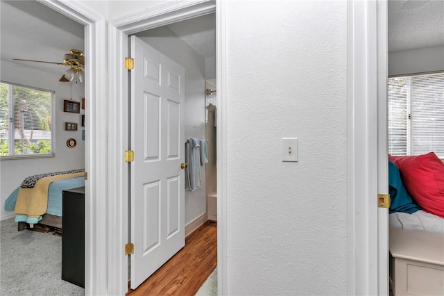 8144 SW 108th Street Rd, Ocala, FL 34481 - photo 27