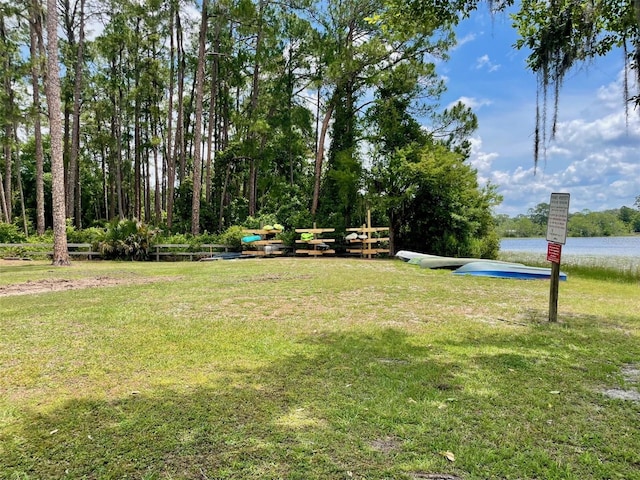 1112 NE 130th Ter, Silver Springs, FL 34488 - view of green lawn