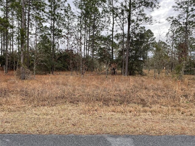 LOT14 SE 136th Ter, Dunnellon, FL 34431 - photo 1