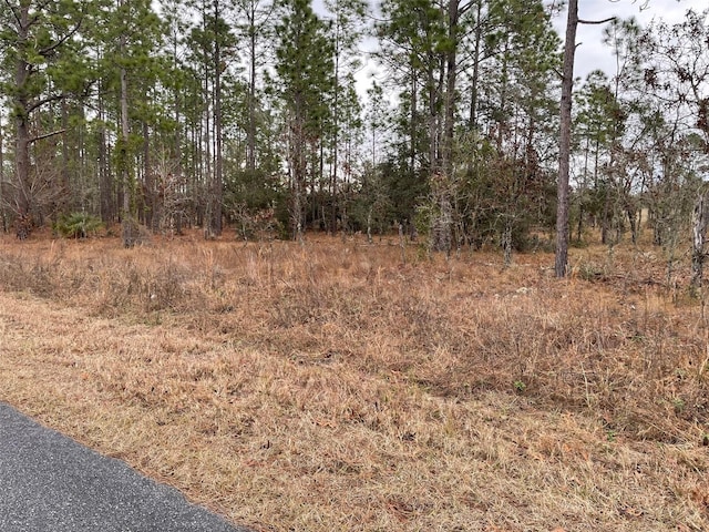 LOT14 SE 136th Ter, Dunnellon, FL 34431 - photo 3