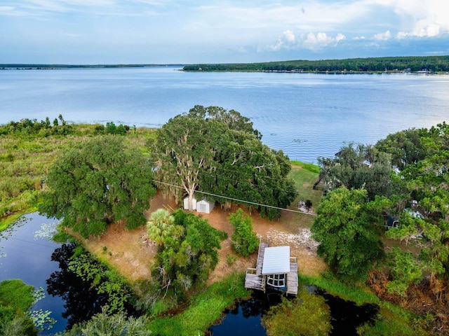 14228 NE 209th Ct, Salt Springs, FL 32134