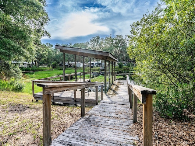 14228 NE 209th Ct, Salt Springs, FL 32134