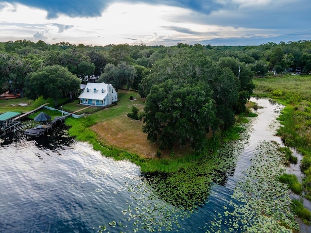 14228 NE 209th Ct, Salt Springs, FL 32134