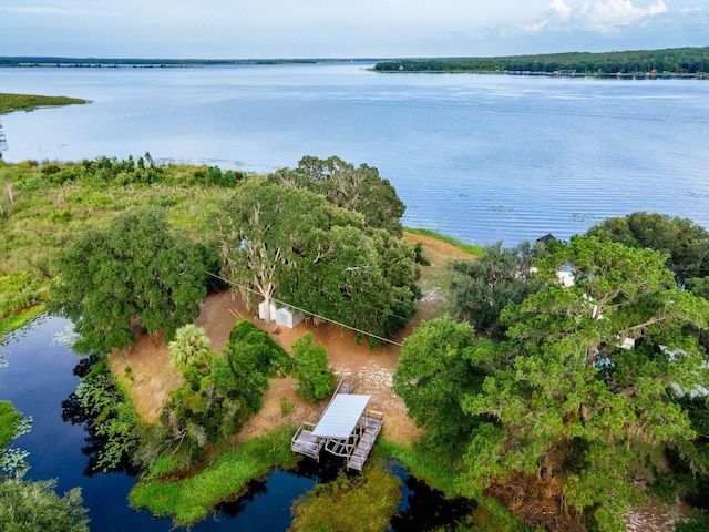 14228 NE 209th Ct, Salt Springs, FL 32134