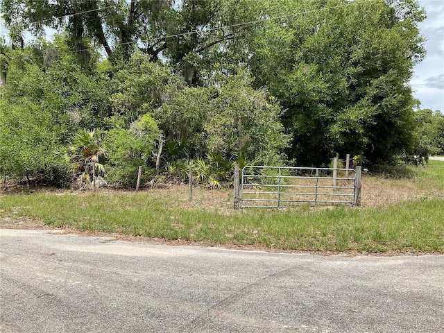 TBDLOT56 Malauka Radial Trl, Ocklawaha, FL 32179