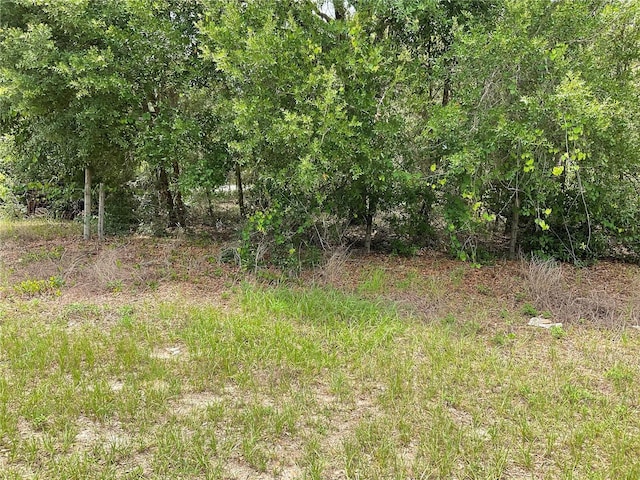 TBDLOT56 Malauka Radial Trl, Ocklawaha, FL 32179