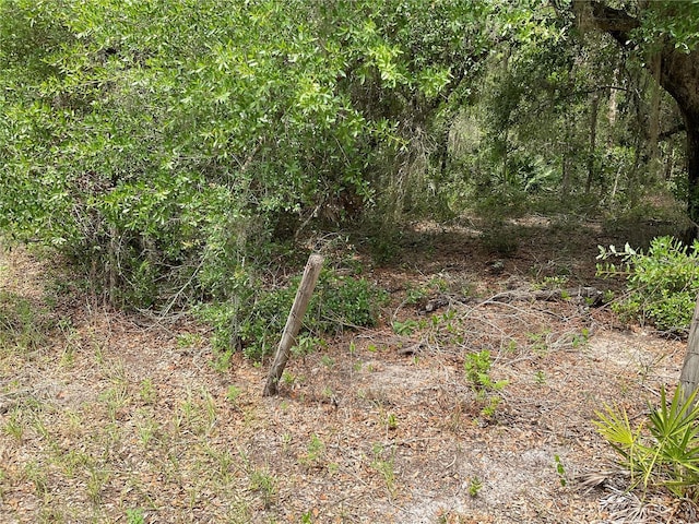 TBDLOT56 Malauka Radial Trl, Ocklawaha, FL 32179