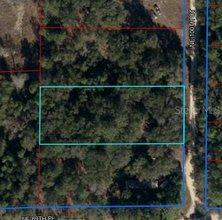 LOT2 NE 100th Ct, Bronson, FL 32621 - photo 2