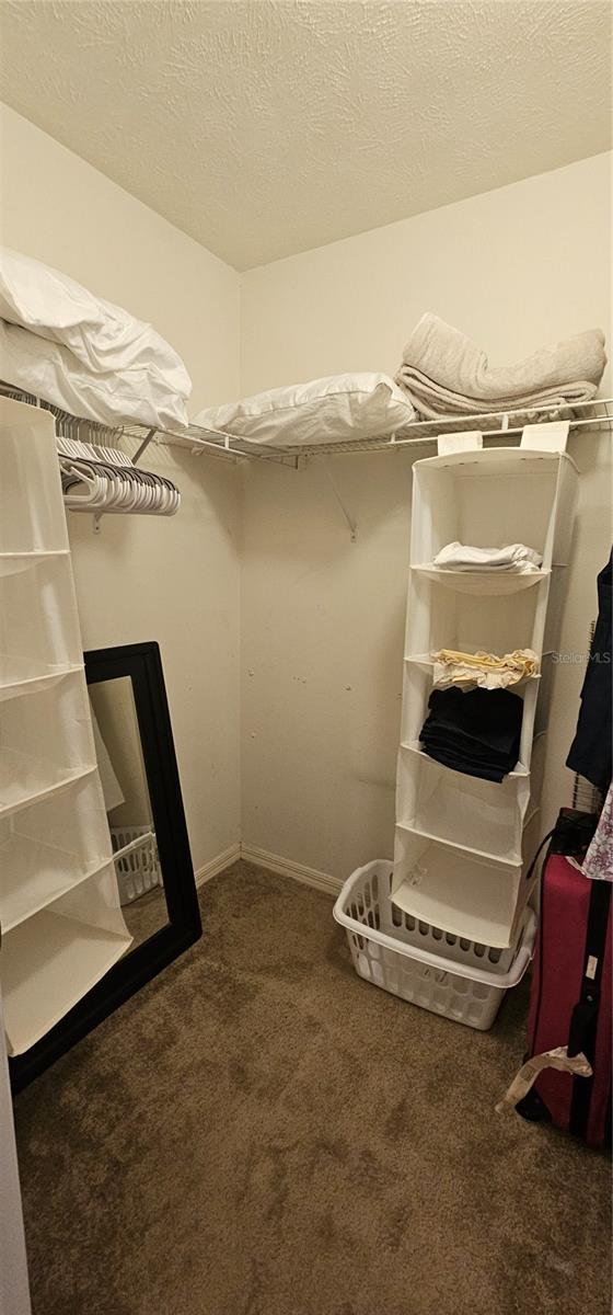5591 NW 61st Ln, Ocala, FL 34482 - spacious closet featuring carpet floors